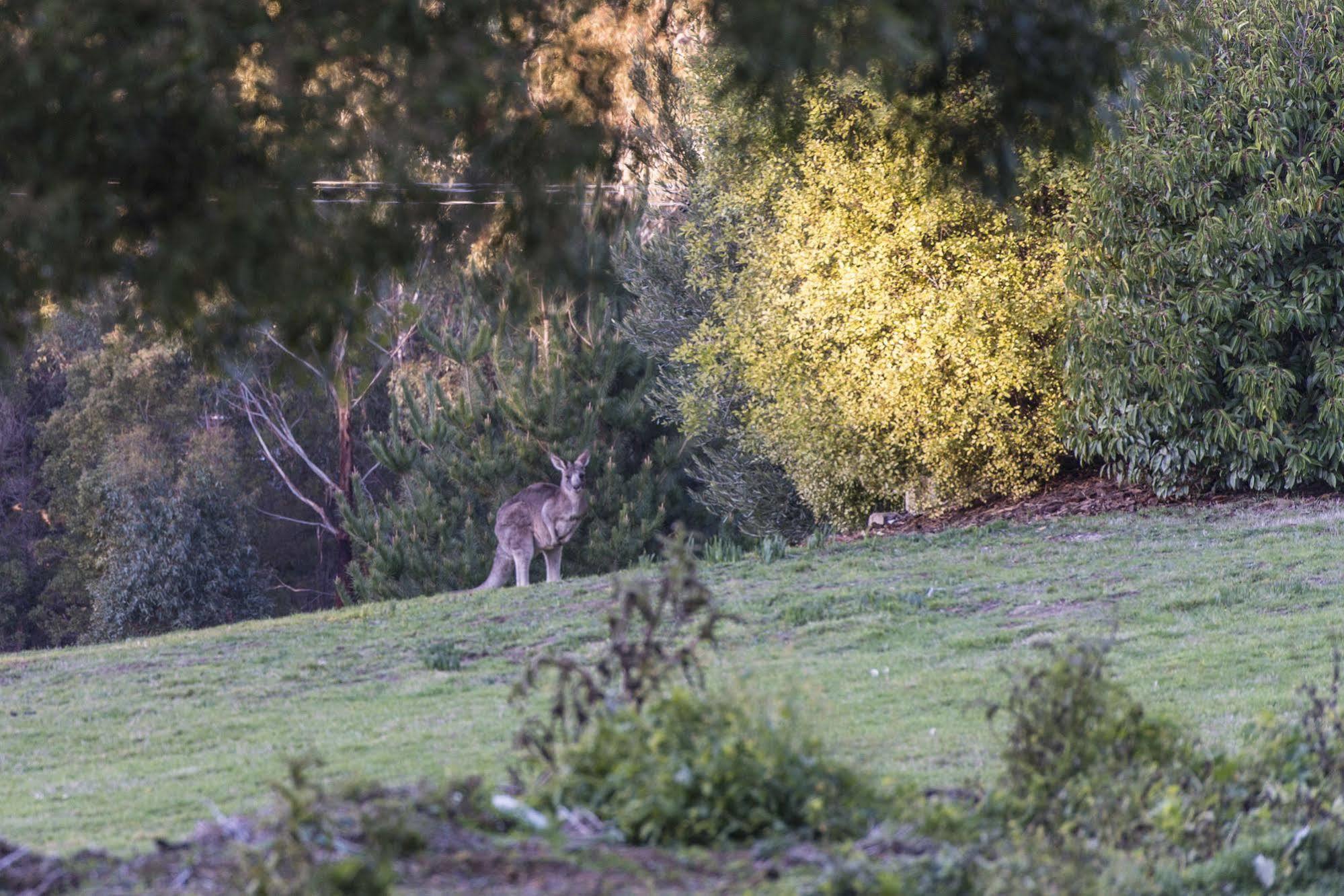 Macedon Ranges Hotel & Spa Экстерьер фото
